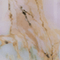 Farbe Pearl Marble